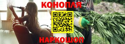 стаф Лесосибирск
